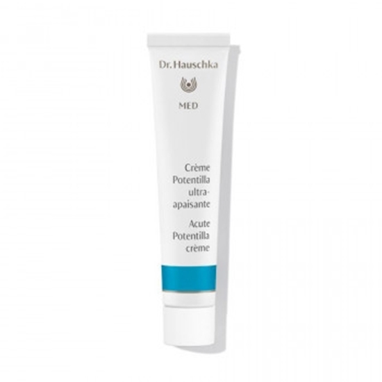 DR HAUSCHKA ACUTE POTENTILLACRME 20ML